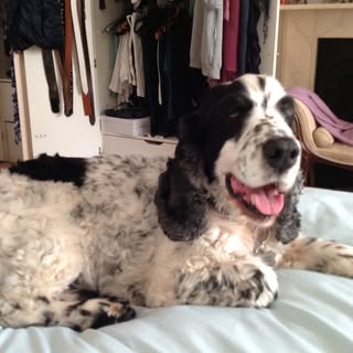 Harry Apter - Instagram Profile Picture of Harry Apter (@harryapter) on Instagram