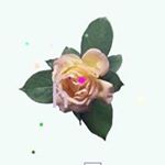 Profile Picture of 꽃보다♡먹방 (@jeongu45o380) on Instagram