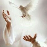 Profile Picture of Armando Limon Fematt (@armandolimon08) on Instagram