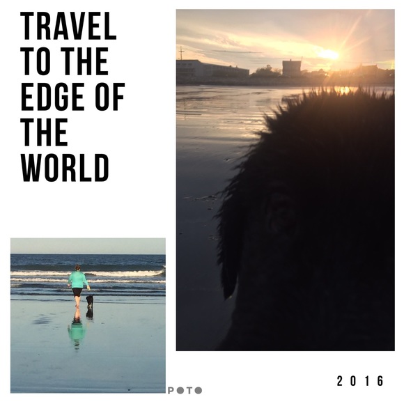 Chelsea Punty - Poshmark Profile Picture of Chelsea Punty (@chelc0915) on Poshmark