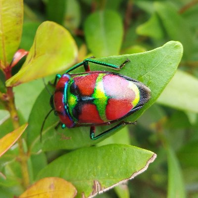 Profile Picture of Vincent Jung (@VincentJung17) on Twitter