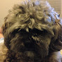 Profile Picture of Robbin Guitonez (@@guitonez77) on Tiktok