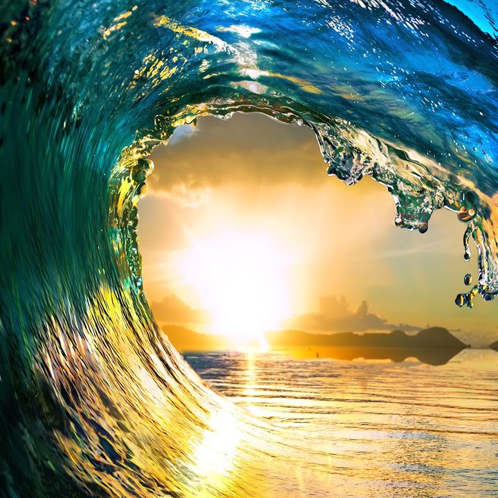 Profile Picture of michael.edgill (@michael.edgill) on Tiktok