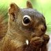 Profile Picture of Debra Wilcher (@bella3711) on Pinterest