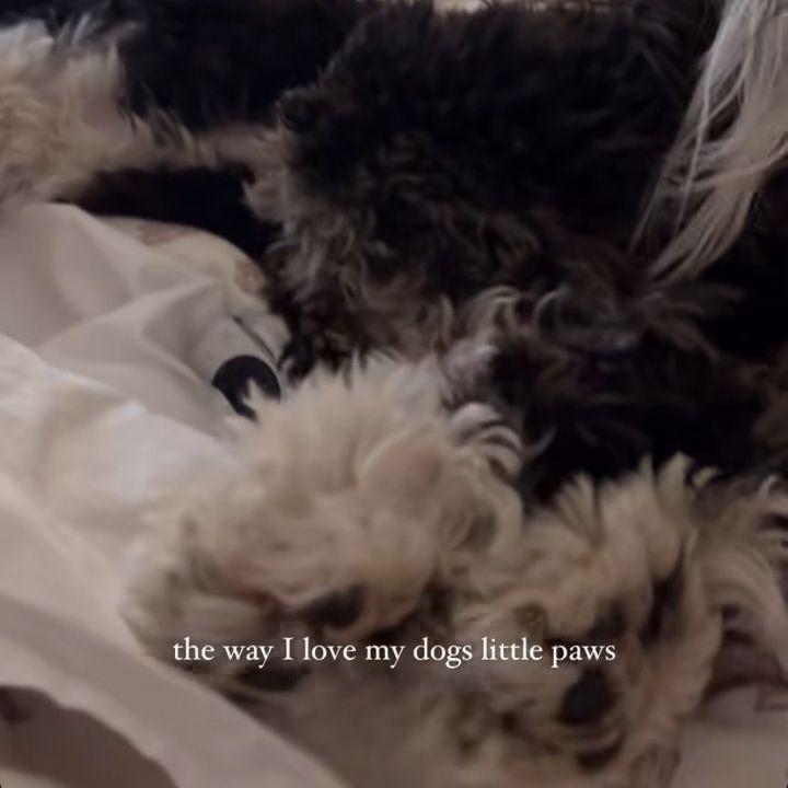 Profile Picture of Hannah Conway🗯️ (@hanna_conway131) on Tiktok