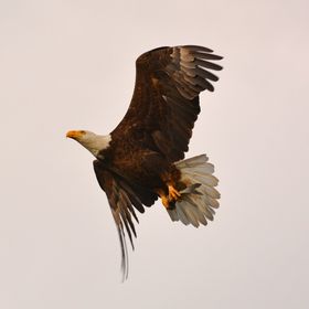 Profile Picture of Roger Twilley (@outside003) on Pinterest