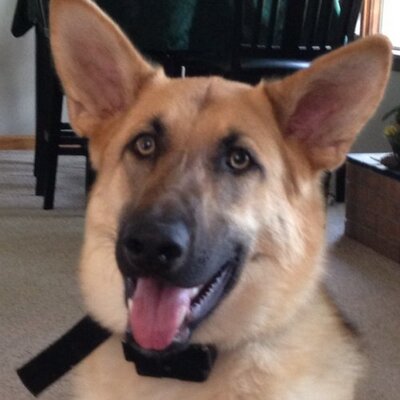 Profile Picture of James Dorman (@Jamesdorman2) on Twitter