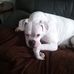 Profile Picture of Glen Fitzsimmons (@glen.fitzsimmons.7) on Facebook