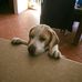 Profile Picture of Anne Rudd (@anne.rudd.9) on Facebook