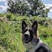 Profile Picture of Wayne Simoni (@wayne.simoni.925) on Facebook