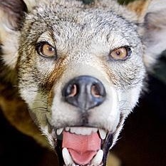 Profile Picture of Daniel Tonkin (@seminaljade) on Myspace