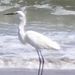 Profile Picture of Joanne Dunn (@jo71) on Pinterest