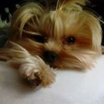 Profile Picture of Deborah Warner (@debawarner) on Instagram