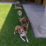 Profile Picture of Janet suberza chavarria (@delfinxota) on Instagram