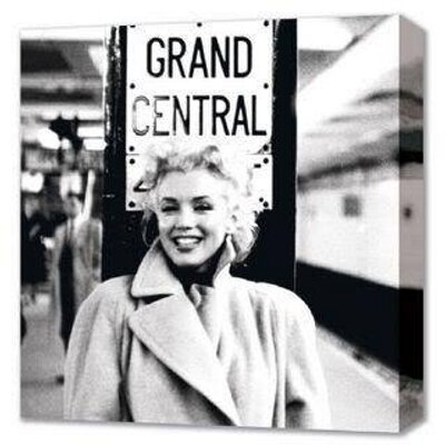 Profile Picture of Noleen Golombick (@NoleenZA) on Twitter