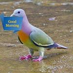 Profile Picture of Chriness John (@johnchriness) on Instagram