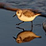 Profile Picture of andrew.darrington@btinternet.com (@andrew.darrington@btinternet.com) on Flickr