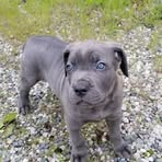 Profile Picture of Fred Keller (@Fred-Keller) on Facebook