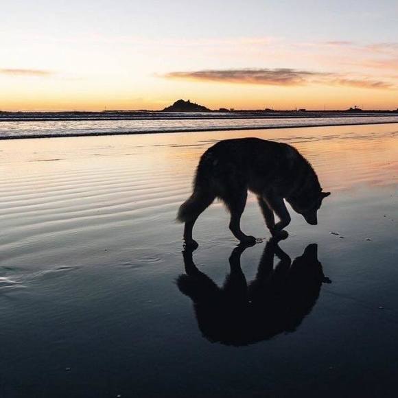 Profile Picture of Patrick Gladwin (@pcgladwin) on Poshmark