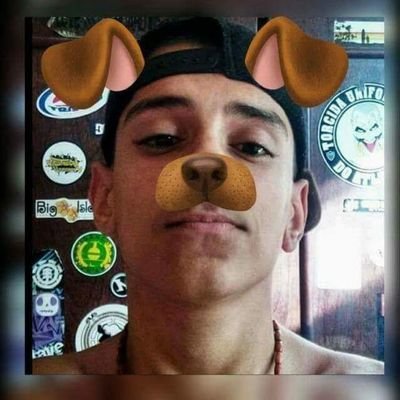 Profile Picture of Daniel Galvão (@Danielgalvao113) on Twitter