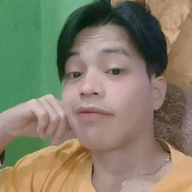 Profile Picture of mr.alvin😎 (@alvinbalabat) on Tiktok