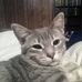 Profile Picture of Shawn Robison (@shawn.robison.5) on Facebook