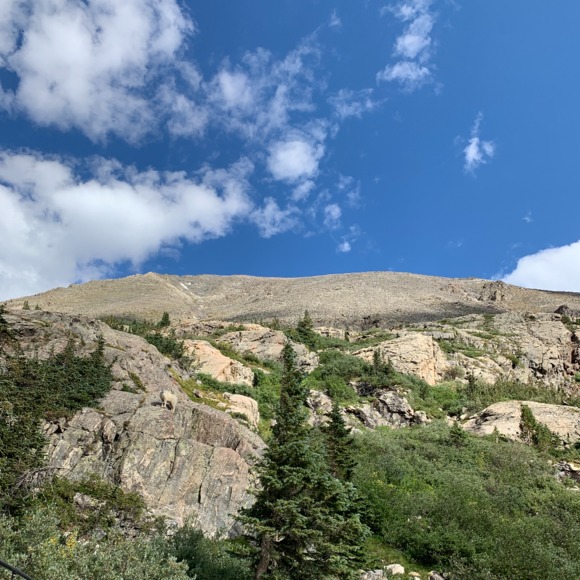 Profile Picture of Nora Wolf (@wolfmomma38) on Poshmark