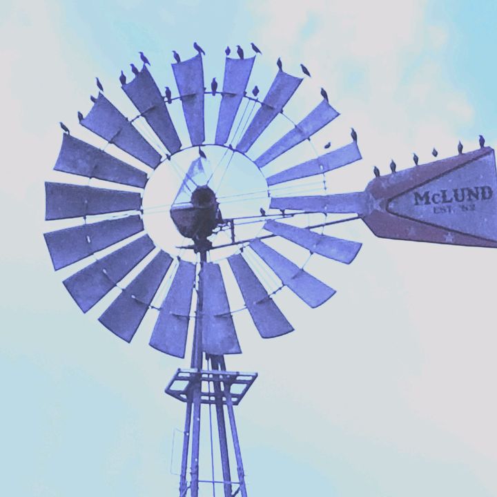 Profile Picture of jere (@jeremymcreynolds) on Tiktok