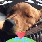 Profile Picture of Debra Marcusse (@debra.marcusse) on Facebook
