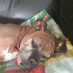 Profile Picture of vicky Guzmán (@vickyguzman10) on Instagram