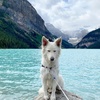 Profile Picture of Echo (@@echo.white.gsd) on Tiktok