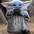 Profile Picture of   Charlie Bennett... (@charlie_bennett02) on Tiktok