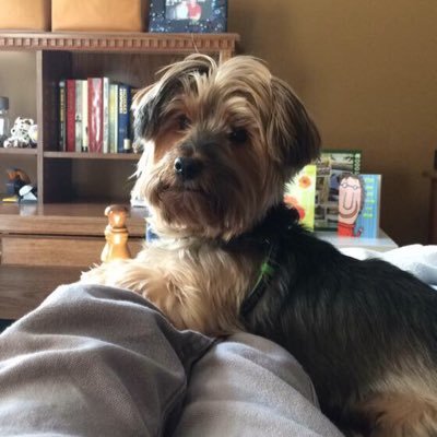 Profile Picture of Michele Mack (@michelemack68) on Twitter