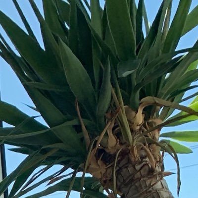 Profile Picture of Jim Kerr Comedy (@kerrzy) on Twitter