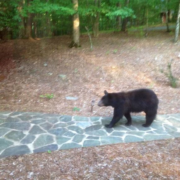 Profile Picture of Patrick Mcmahan (@patrickmcmahan) on Poshmark