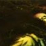 Profile Picture of David Rullier (@davidsagi26) on Instagram