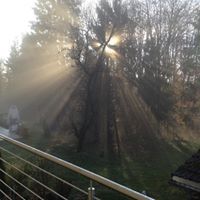 Profile Picture of Sonja Stockinger (@markussonjastoc) on Pinterest