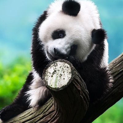 Profile Picture of Audrey Carson (@audreycarson1) on Tiktok
