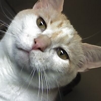 Profile Picture of Ben Apuan (@benapuan) on Twitter