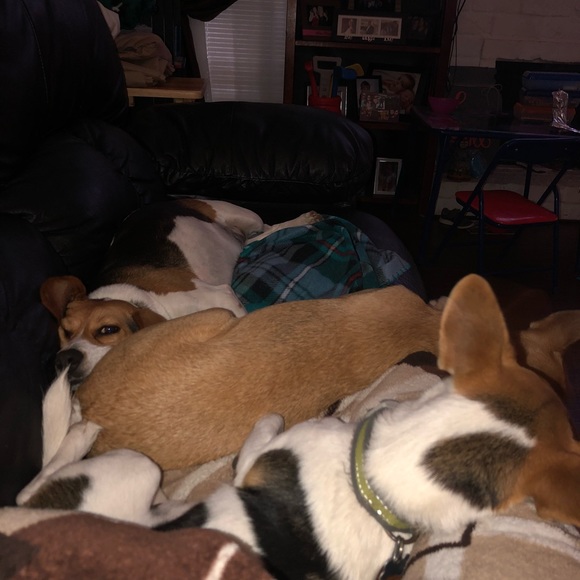 Profile Picture of Tiffany Buendel (@tecooper24) on Poshmark