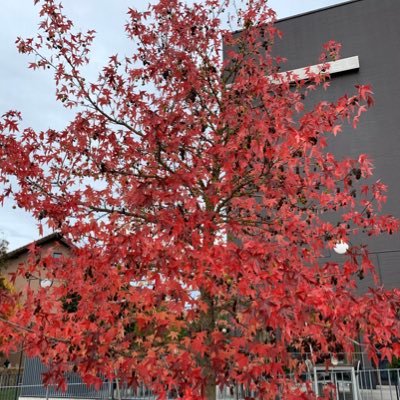 Max Winkler - Twitter Profile Picture of Max Winkler (@silentneo07) on Twitter