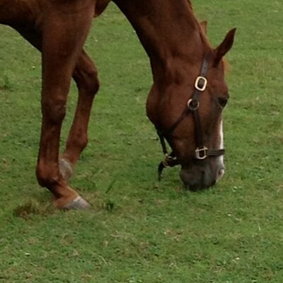 Profile Picture of Nancy Werner (@nancywerner7) on Twitter