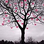 Profile Picture of Roxanne Oconnor (@oconnorroxanne) on Instagram