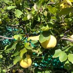 Profile Picture of Lucy.Adler (@lucy.adler) on Instagram