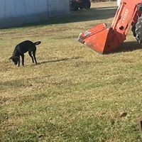 Profile Picture of Jimmy Beale (@jimmy-beale-2) on Quora