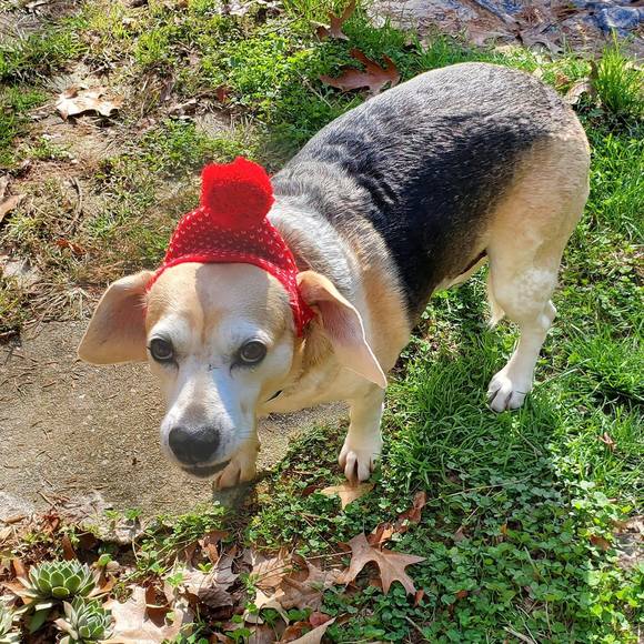 Profile Picture of Amanda Maciog maki (@amaciog) on Poshmark