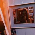 Profile Picture of Makayla Murphy😚 (@_makayla.murphy_) on Instagram