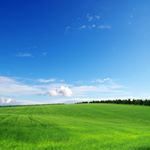 Profile Picture of Mike Qian (@neworldq666) on Instagram