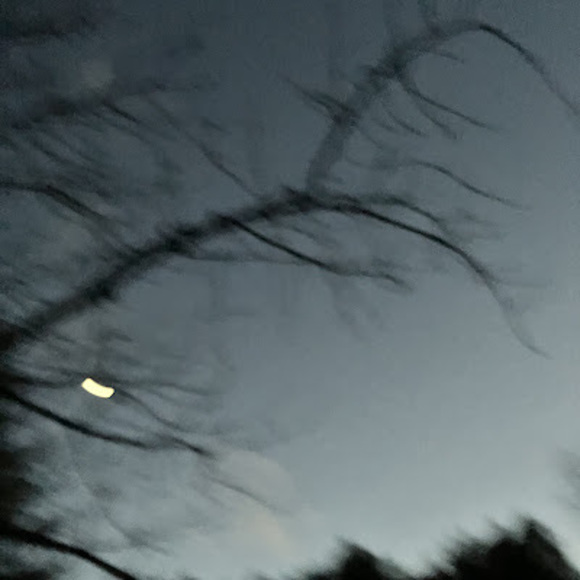 Profile Picture of Rosario Napoles (@napolrosario11) on Poshmark