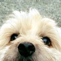 Profile Picture of Savannah Archer (@savannah-archer-7) on Quora